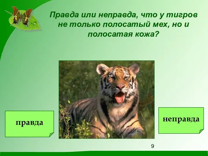 Правда или неправда, что у тигров не только полосатый мех, но и полосатая кожа? правда неправда