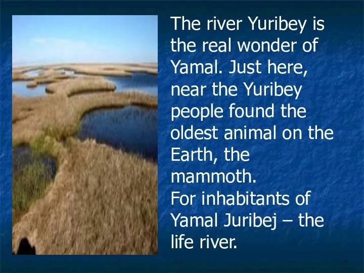 The river Yuribey is the real wonder of Yamal. Just here,