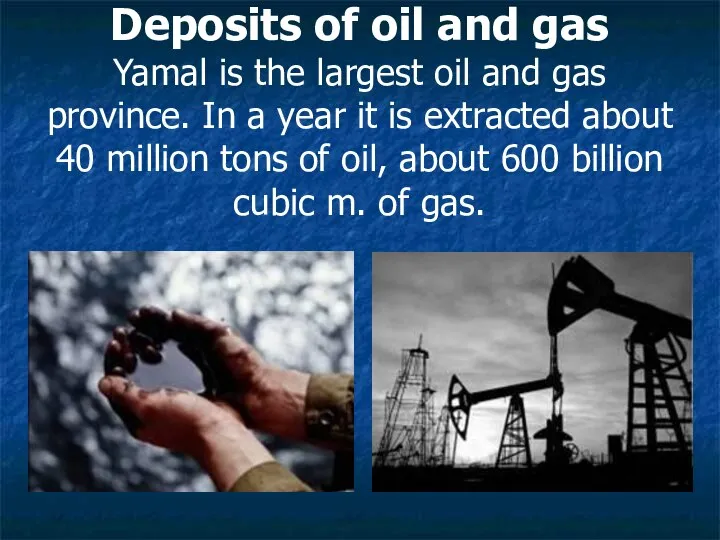 Deposits of oil and gas Yamal is the largest oil and