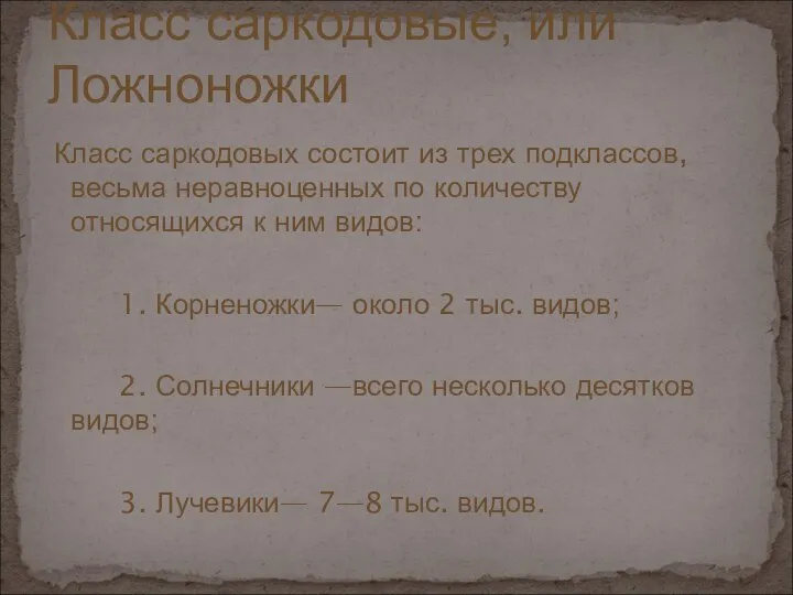 Класс саркодовых состоит из трех подклассов, весьма неравноценных по количеству относящихся