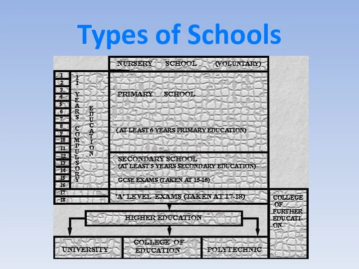 Types of Schools