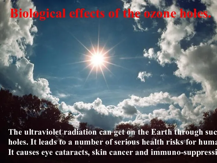 Biological effects of the ozone holes. The ultraviolet radiation can get