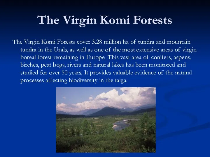 The Virgin Komi Forests The Virgin Komi Forests cover 3.28 million