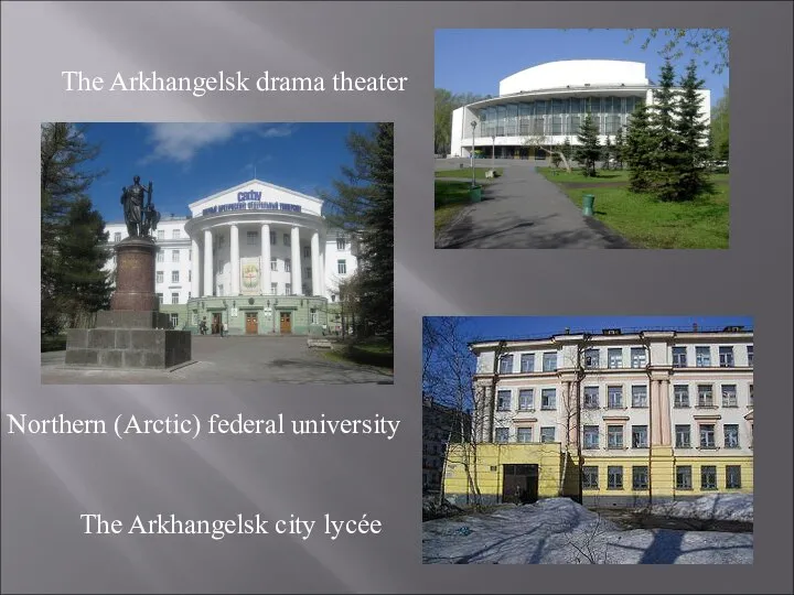 The Arkhangelsk drama theater Northern (Arctic) federal university The Arkhangelsk city lycée