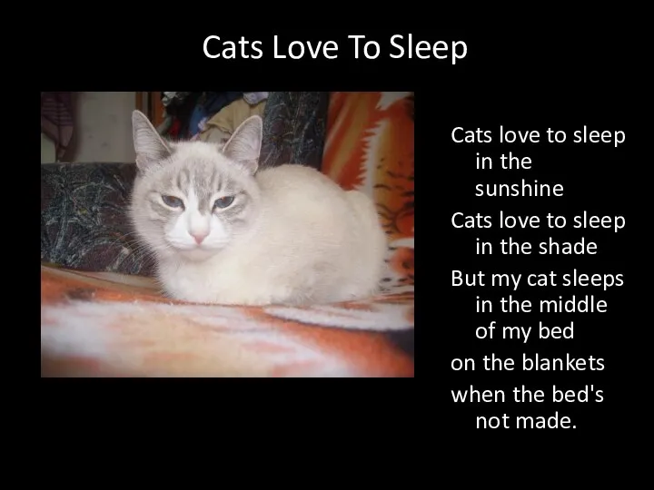 Cats Love To Sleep Cats love to sleep in the sunshine