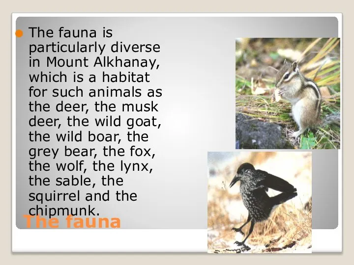 The fauna The fauna is particularly diverse in Mount Alkhanay, which