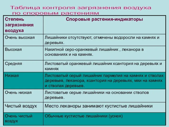 Таблица контроля загрязнения воздуха по споровым растениям