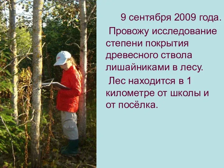 9 сентября 2009 года. Провожу исследование степени покрытия древесного ствола лишайниками