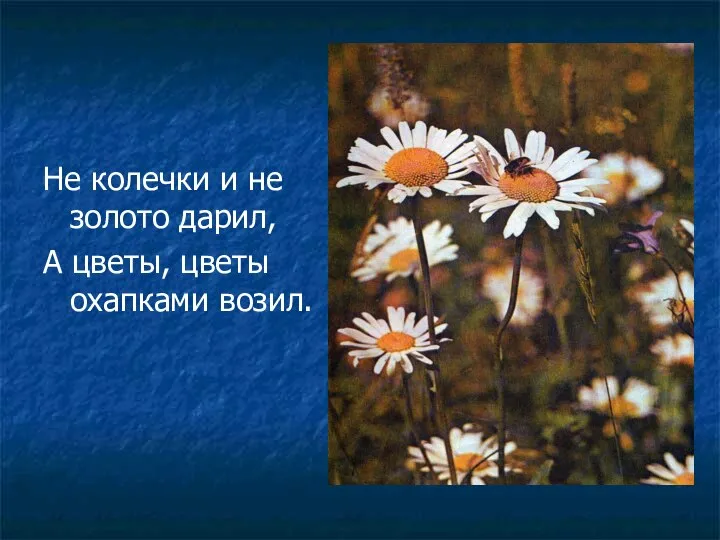 Не колечки и не золото дарил, А цветы, цветы охапками возил.