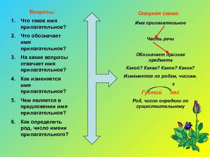 Вопросы: Что такое имя прилагательное? Что обозначает имя прилагательное? На какие