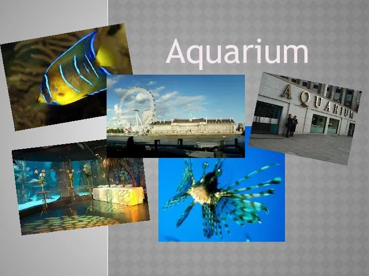 Aquarium