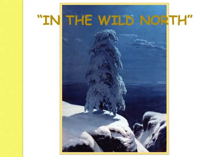 “in the wild north”