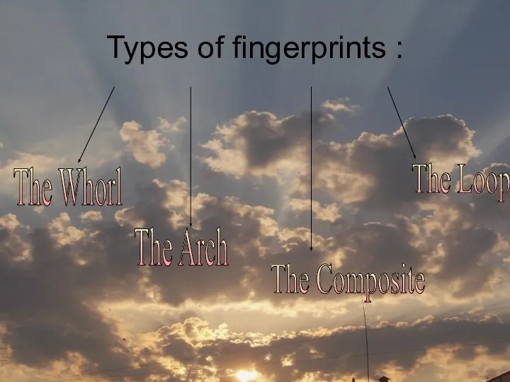 Types of fingerprints : The Whorl The Arch The Composite The Loop