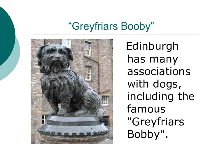 “Greyfriars Booby” Edinburgh has many associations with dogs, including the famous "Greyfriars Bobby".