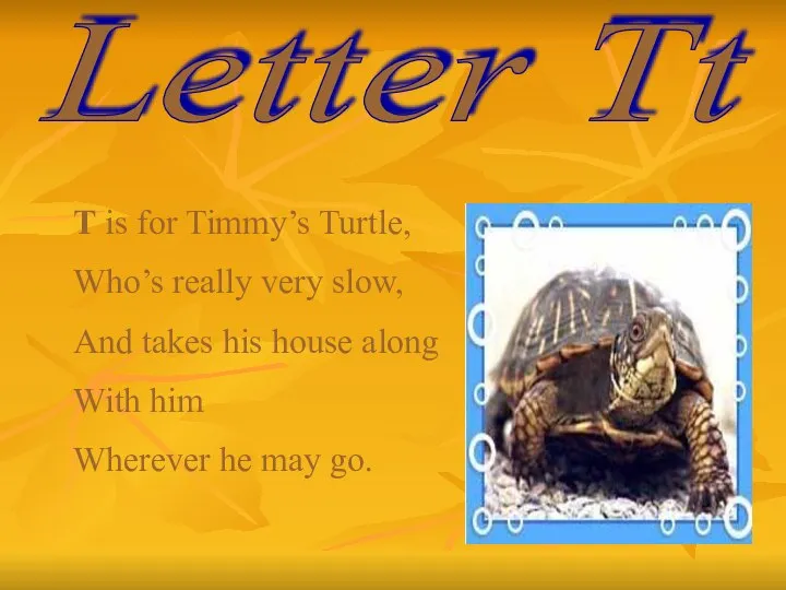 Letter Tt T is for Timmy’s Turtle, Who’s really very slow,