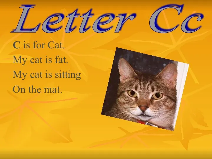 C is for Cat. My cat is fat. My cat is