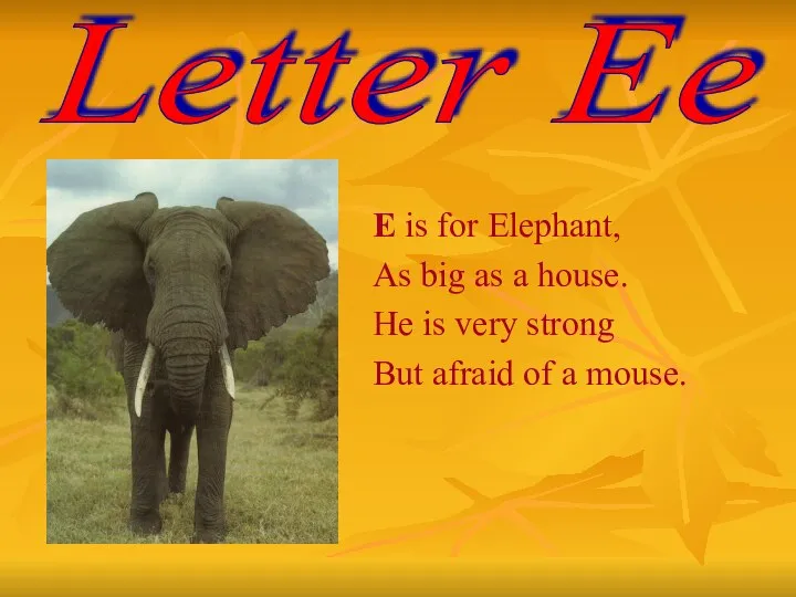 E is for Elephant, As big as a house. He is