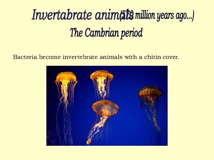 (570 million years ago...) Invertabrate animals The Cambrian period Bacteria become