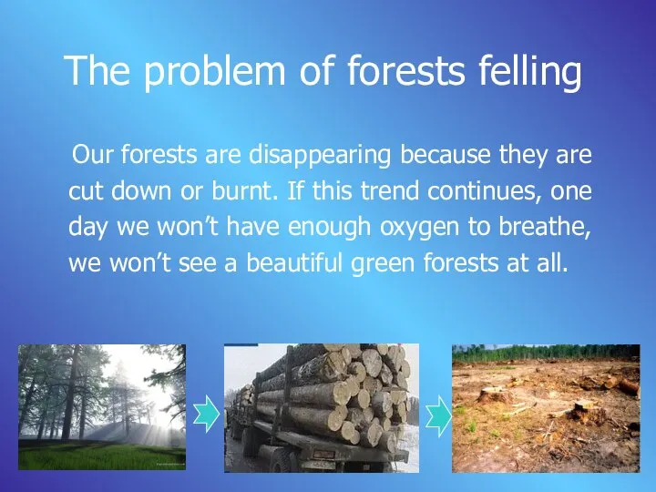 The problem of forests felling Our forests are disappearing because they