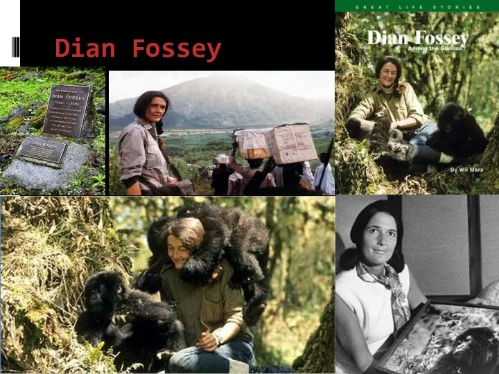 Dian Fossey