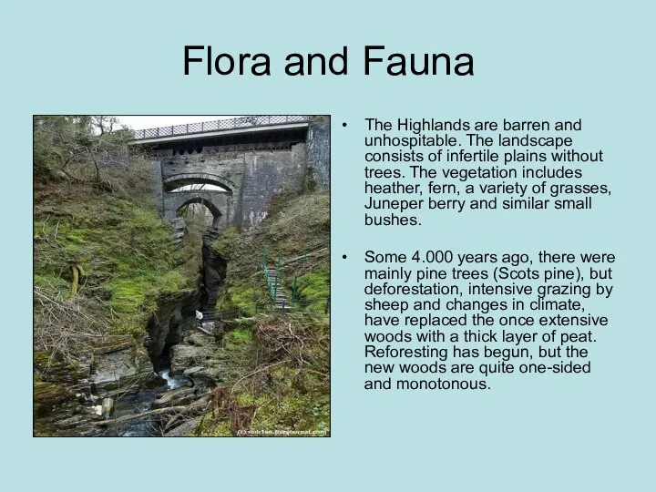 Flora and Fauna The Highlands are barren and unhospitable. The landscape