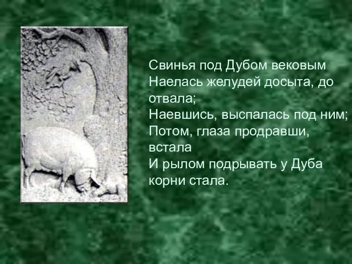 Свинья под Дубом вековым Наелась желудей досыта, до отвала; Наевшись, выспалась