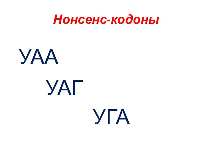 Нонсенс-кодоны УАА УАГ УГА