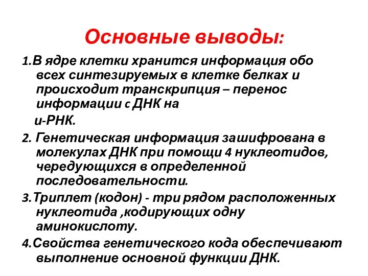 Основные выводы: 1.В ядре клетки хранится информация обо всех синтезируемых в