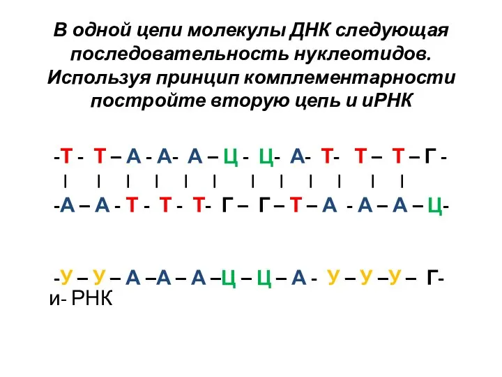 В одной цепи молекулы ДНК следующая последовательность нуклеотидов. Используя принцип комплементарности