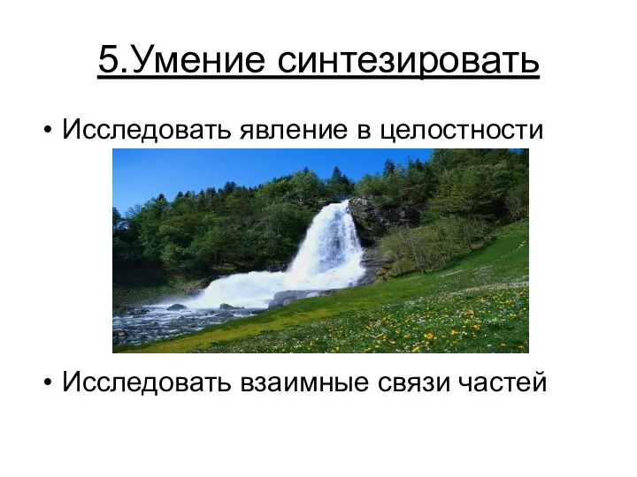 5.Умение синтезировать Исследовать явление в целостности Исследовать взаимные связи частей