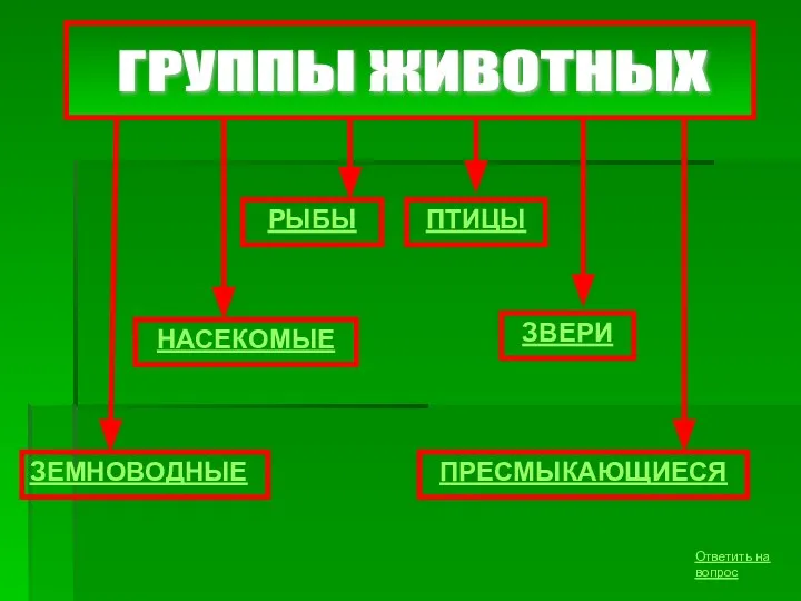 ГРУППЫ ЖИВОТНЫХ НАСЕКОМЫЕ РЫБЫ ПТИЦЫ ЗВЕРИ ЗЕМНОВОДНЫЕ ПРЕСМЫКАЮЩИЕСЯ Ответить на вопрос