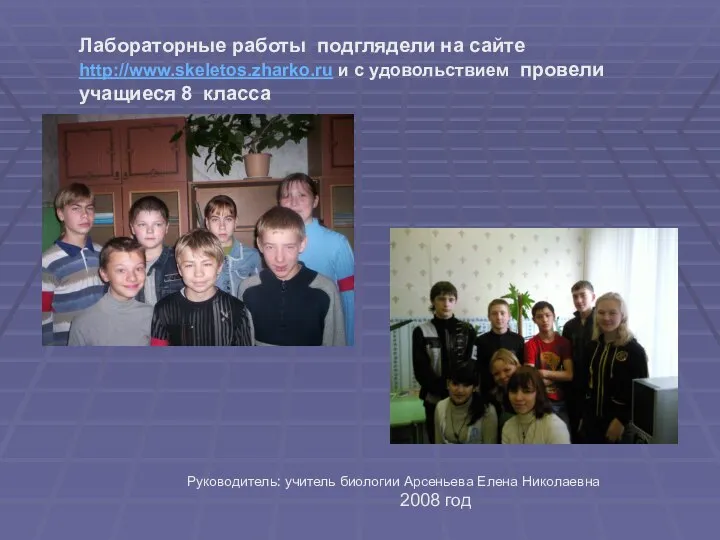 Лабораторные работы подглядели на сайте http://www.skeletos.zharko.ru и с удовольствием провели учащиеся