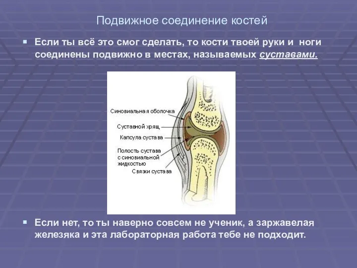 Подвижное соединение костей Если ты всё это смог сделать, то кости