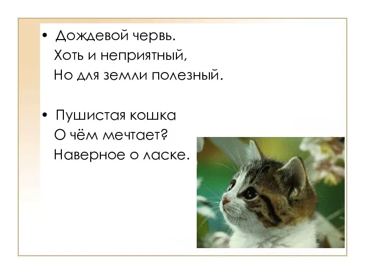 Дождевой червь. Хоть и неприятный, Но для земли полезный. Пушистая кошка