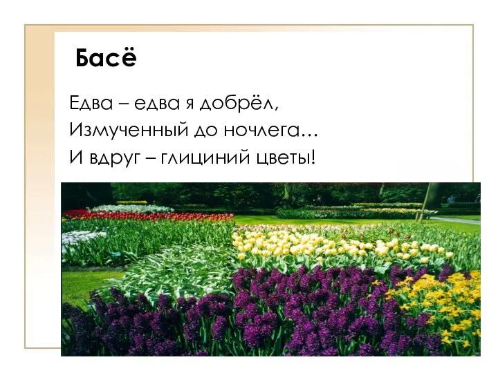 Басё Едва – едва я добрёл, Измученный до ночлега… И вдруг – глициний цветы!