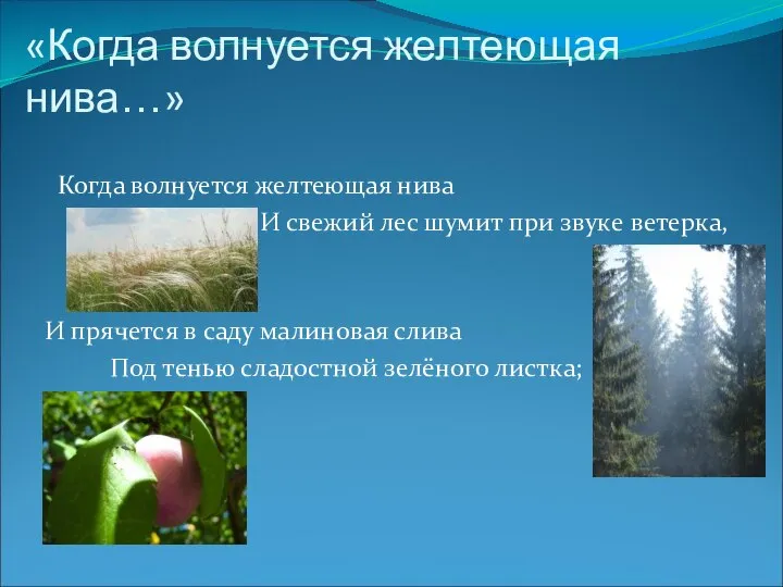 «Когда волнуется желтеющая нива…» Когда волнуется желтеющая нива И свежий лес