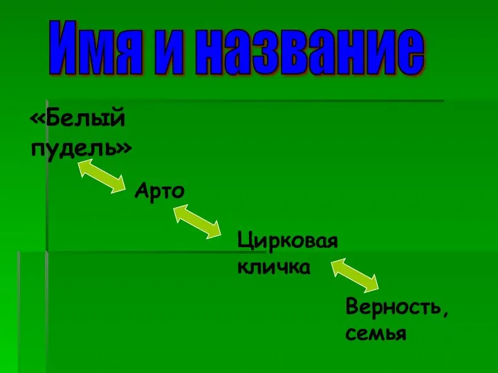 Имя и название «Белый пудель» Арто Цирковая кличка Верность, семья