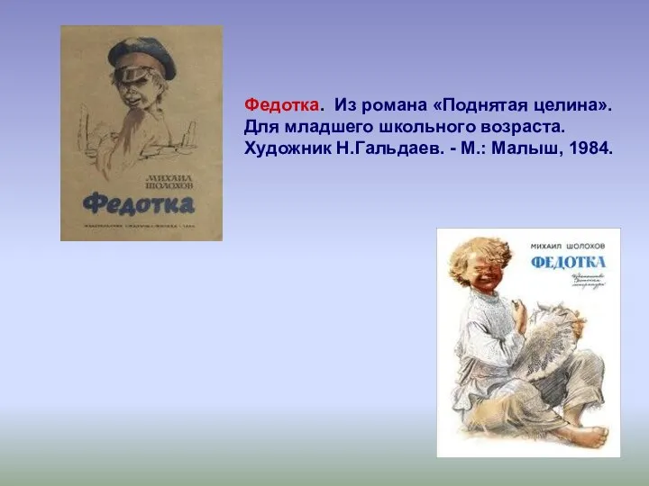 Федотка. Из романа «Поднятая целина». Для младшего школьного возраста. Художник Н.Гальдаев. - М.: Малыш, 1984.