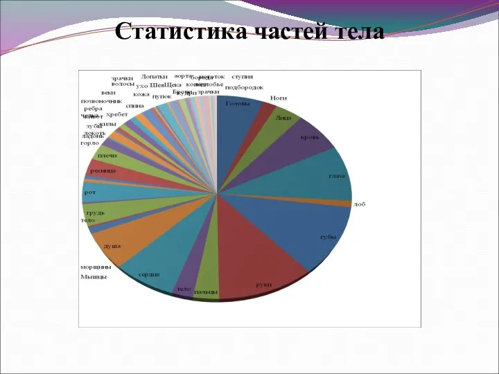 Статистика частей тела