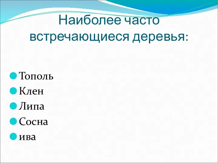 Наиболее часто встречающиеся деревья: Тополь Клен Липа Сосна ива