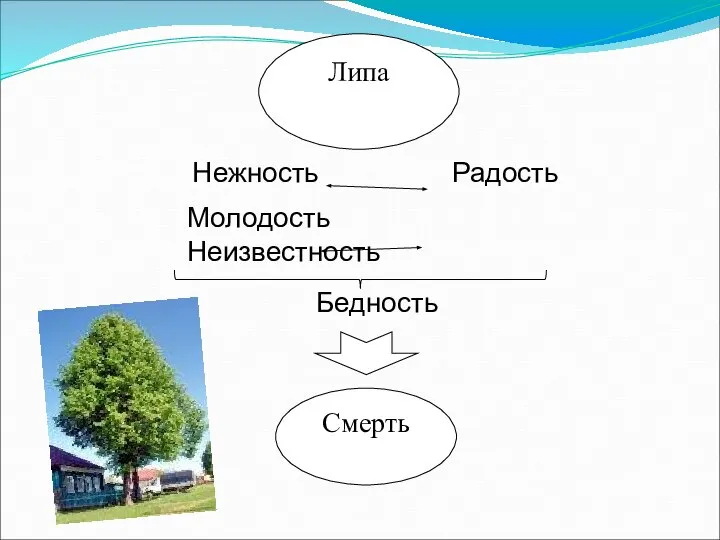 Смерть Нежность Радость Молодость Неизвестность Бедность Липа