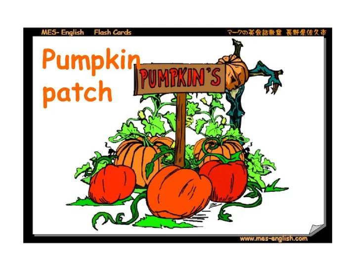 Pumpkin patch