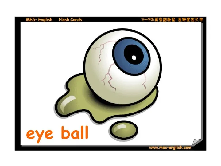 eye ball