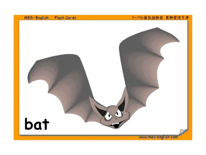 bat