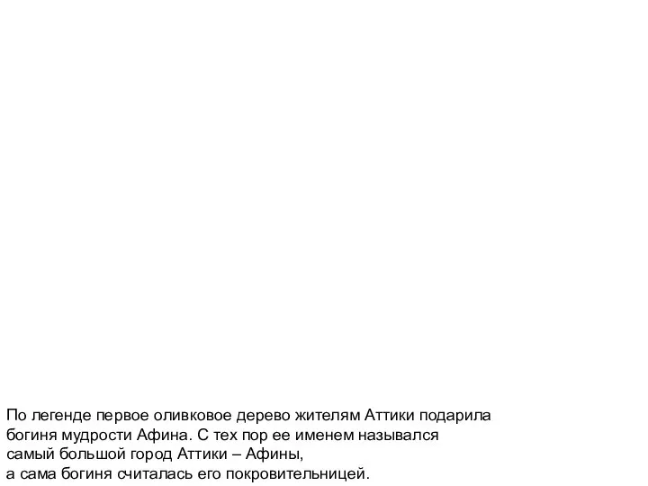 По легенде первое оливковое дерево жителям Аттики подарила богиня мудрости Афина.