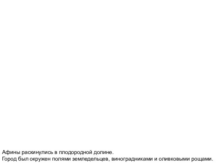 Афины раскинулись в плодородной долине. Город был окружен полями земледельцев, виноградниками и оливковыми рощами.