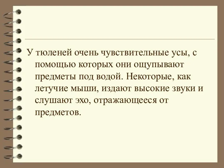 У тюленей очень чувствительные усы, с помощью которых они ощупывают предметы