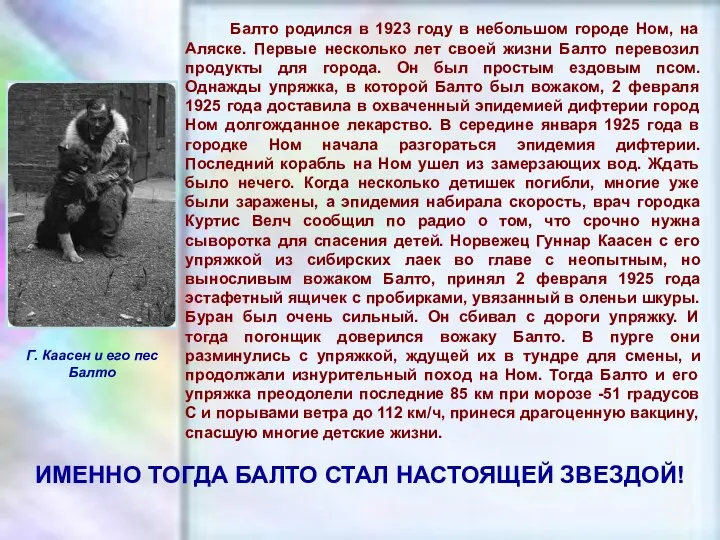 ЧУВАШСКАЯ РЕСПУБЛИКА, г. ШУМЕРЛЯ, МОУ «СОШ №2» Балто родился в 1923