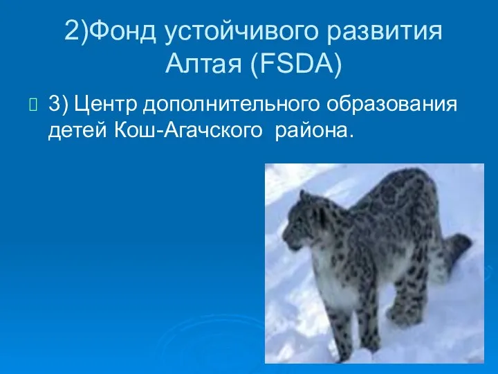 2)Фонд устойчивого развития Алтая (FSDA) 3) Центр дополнительного образования детей Кош-Агачского района.