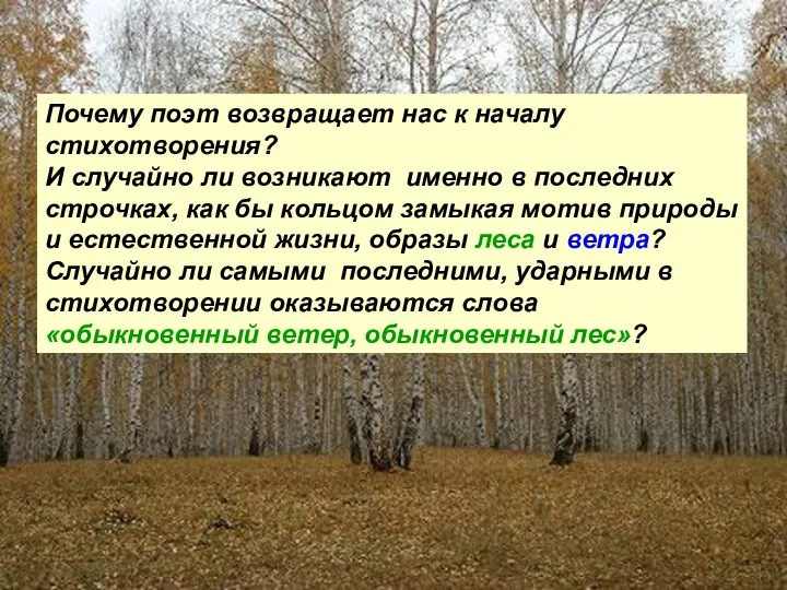 Почему поэт возвращает нас к началу стихотворения? И случайно ли возникают